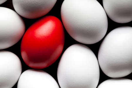 One red and many white eggsの写真素材