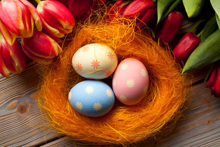 Colorful Easter eggs in the nest and tulip flowers