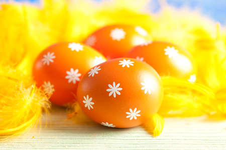 Easter eggs and feathersの写真素材