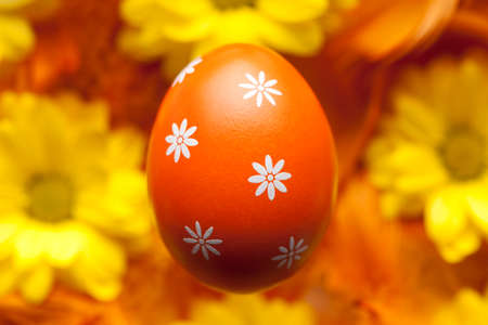Orange Easter eggの写真素材