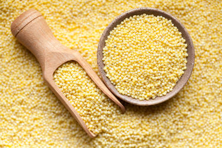 Organic millet in bowl and spoonの写真素材