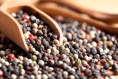 Colorful pepperの写真素材