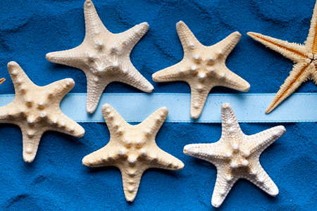 Starfish and ribbon on blue background