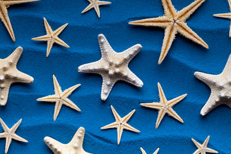 Starfishes on blue sand backgroundの写真素材