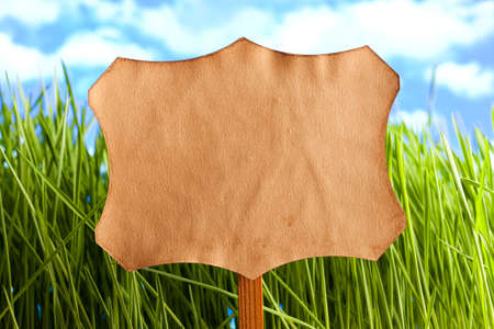 Blank paper label on nature backgroundの写真素材