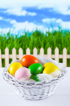 Colored easter eggs in the basket on nature backgroundの写真素材