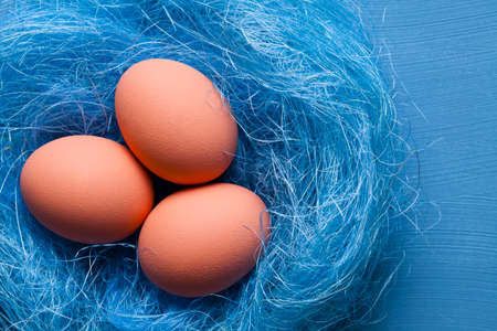 Three easter eggs in the nest on blue backgroundの写真素材