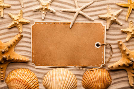 Starfish, shells and blank paper sheet on beach sandの写真素材