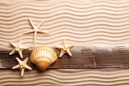 Starfish and wooden plank on beach sandの写真素材
