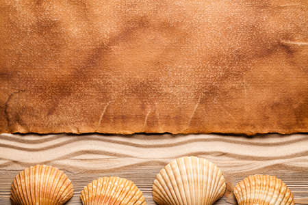 Shells and paper sheet on beach sandの写真素材