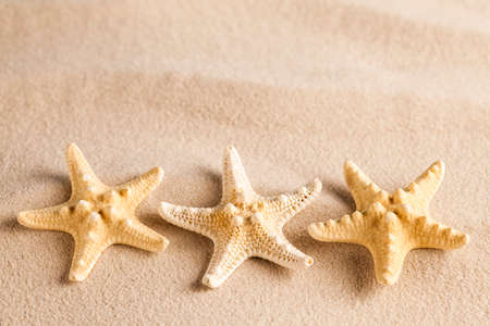 Three starfish on sand