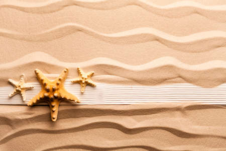 Starfish and wooden plank on beach sandの写真素材