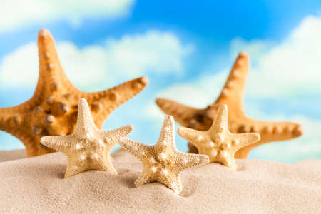 Starfishes on beach sand and blue sky in backgroundの写真素材