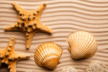 Summer background - Starfishes and shells on beach sandの写真素材