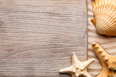 Wooden board and shells on beachの写真素材