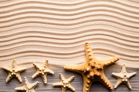 Starfishes and wooden plank on beach sandの写真素材
