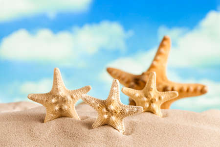 Starfishes on beach sand and blue sky in backgroundの写真素材