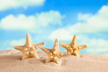 Starfishes on beach sand and blue sky in backgroundの写真素材