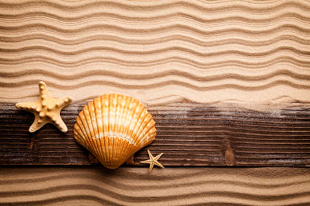 Starfish and wooden plank on beach sandの写真素材