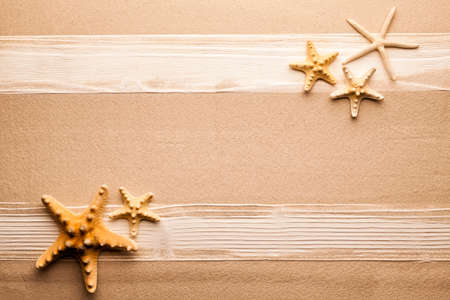 Starfish and wooden plank on beach sandの写真素材