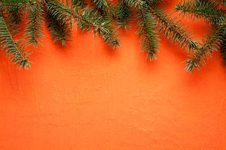 Christmas background - spruce tree on orange plastered wallの写真素材