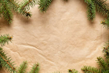 Christmas background - spruce bushes on handmade paper sheetの写真素材