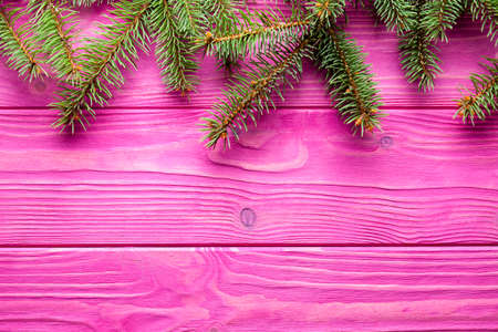 Christmas background - spruce tree on wooden tableの写真素材