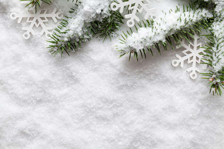 Christmas background - snowflakes and spruce tree on white snow