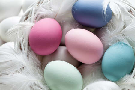 Colorful easter eggs and white feathers in basketの写真素材