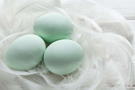 Green Easter eggs and white feathersの写真素材