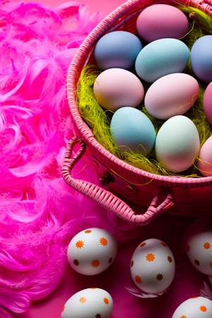 Painted Easter eggs in a basket and pink feathersの写真素材