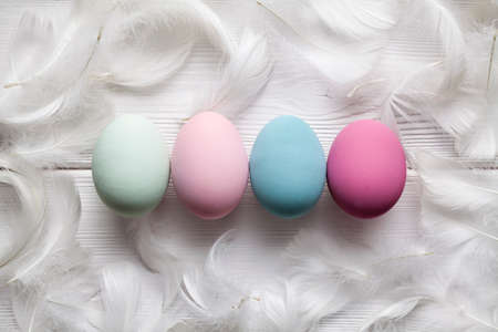 Four colored Easter eggs and white feathers on white wooden planksの写真素材