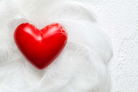 Red heart and white feathers on plastered backgroundの写真素材