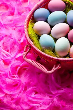 Many colored Easter eggs in pink basket and feathers in backgroundの写真素材