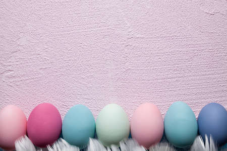 Colored Easter eggs and feathers on pink plastered wall backgroundの写真素材