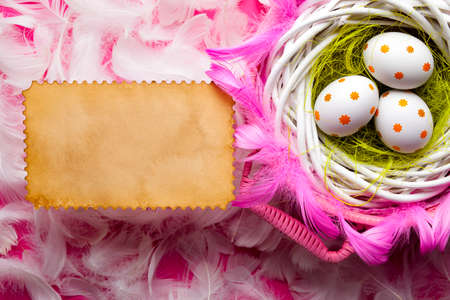 Easter background - White eggs in the nest, feathers and blank paper cardの写真素材