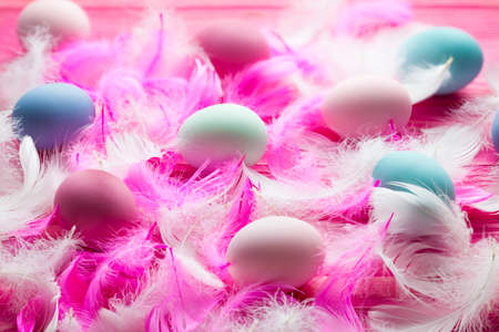 White and pink feathers and many colored Easter eggs on pink backgroundの写真素材