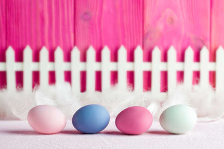 Colored Easter eggs, white feathers and fence on pink wooden backgroundの写真素材