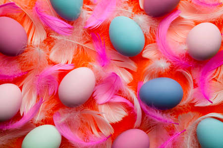 Easter background - colored eggs and feathers on orange backgroundの写真素材