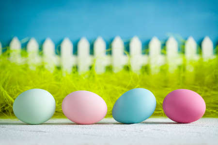 Colored Easter eggs, green grass, white wooden fence on blue backgroundの写真素材