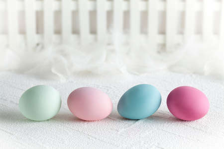 Four colored Easter eggs, feathers and fence on white backgroundの写真素材