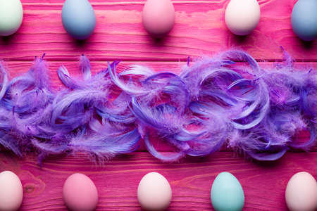 Colored Easter eggs and feathers on pink wooden backgroundの写真素材