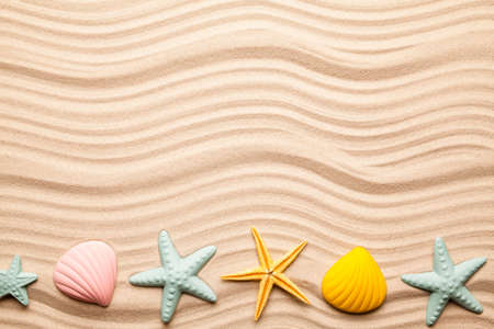 Beach background - seashells on yellow sandの写真素材