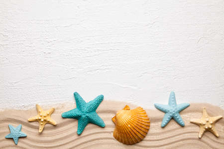 Summertime background - seashells, beach sand and white plastered backgroundの写真素材