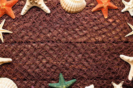Shell and starfish on brown fishing net and wooden backgroundの写真素材