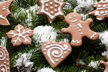 Christmas gingerbread cookies on snow covered spruce branchesの写真素材