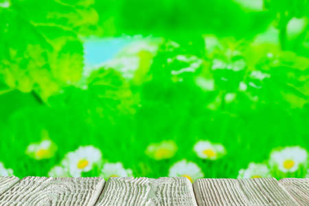 White wooden table with empty space on green nature backgroundの写真素材