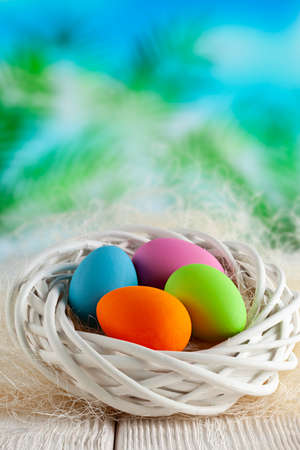 Four colored Easter eggs in white nest on wooden table and nature backgroundの写真素材