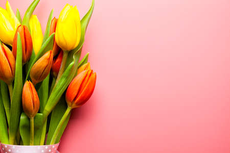 Bouquet of tulips - colorful flowers on a pink backgroundの写真素材