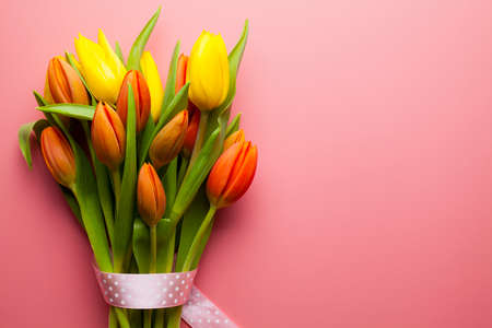 Spring flowers - a bouquet of colorful tulips on a pink backgroundの写真素材